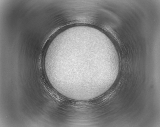 X0000067840875200605041647