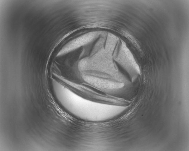 X0000067840876200605041646