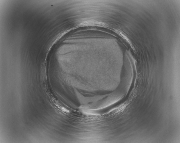 X0000067840877200605041646