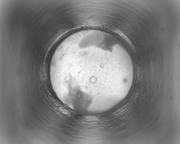 X0000067840878200605041646