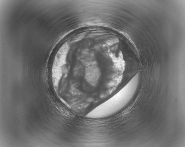 X0000067840879200605041646