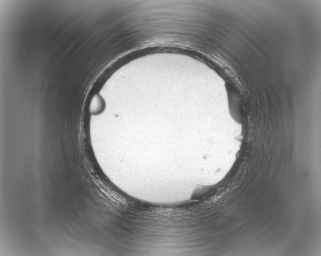 X0000067840880200605041646