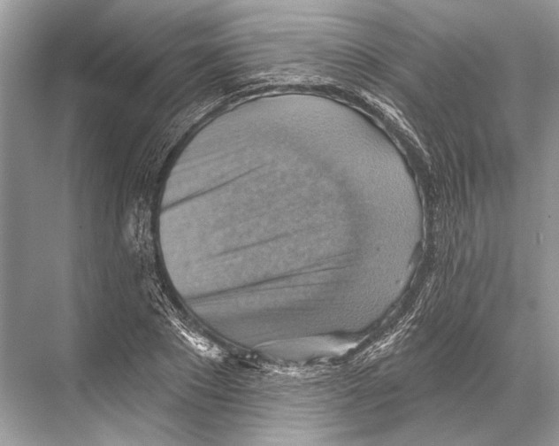 X0000067840881200605041646