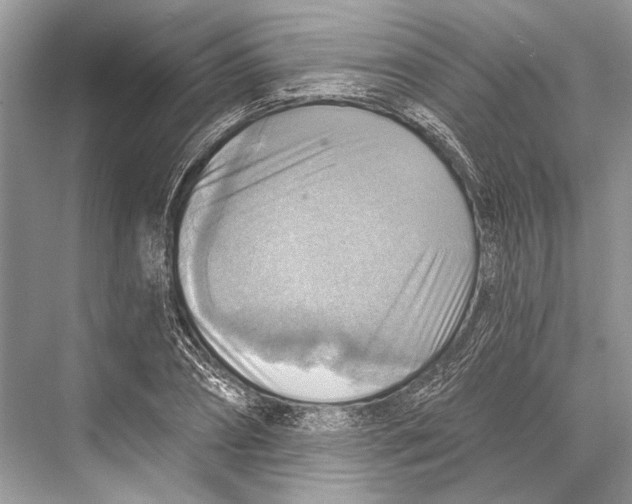 X0000067840882200605041646