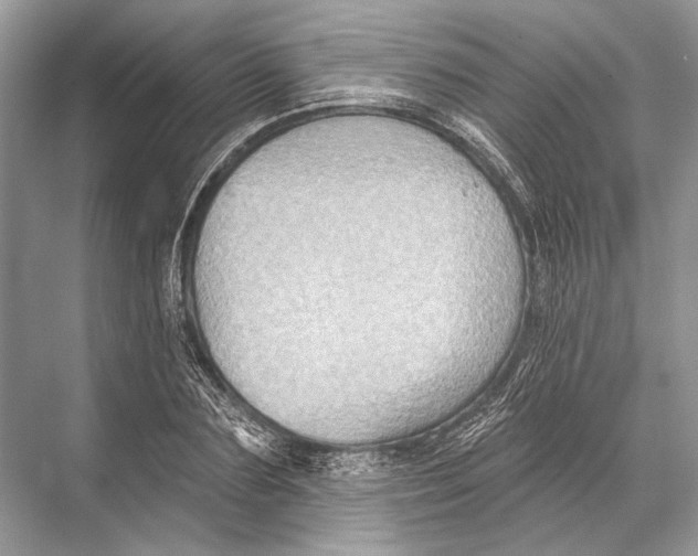 X0000067840883200605041646