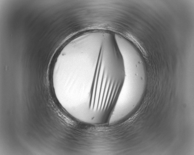 X0000067840884200605041646