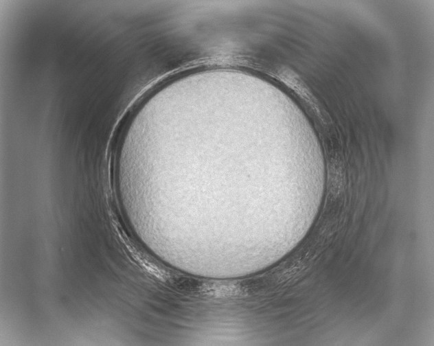 X0000067840886200605041646