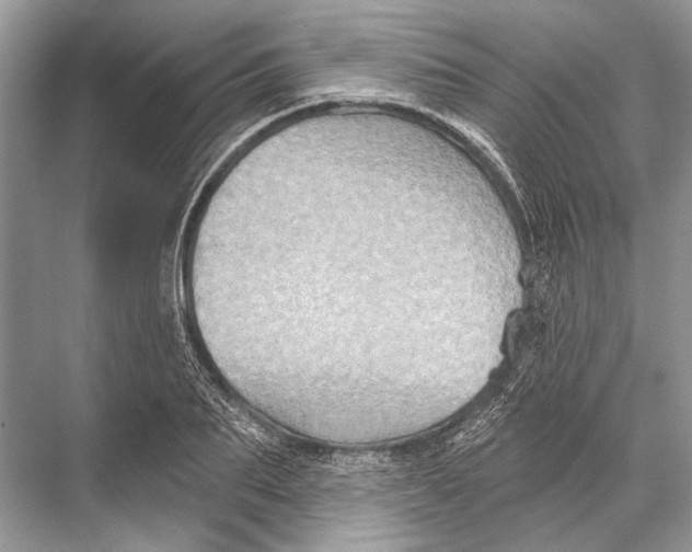 X0000067840887200605041646