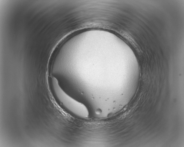 X0000067840888200605041646