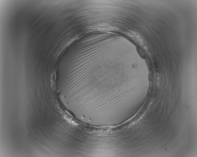 X0000067840889200605041646