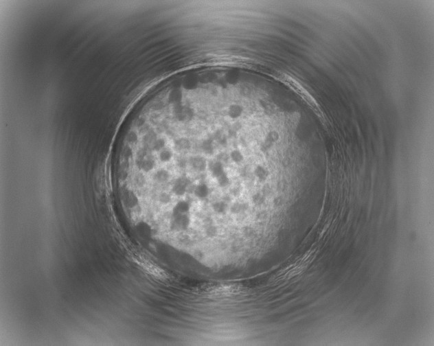 X0000067840891200605041646