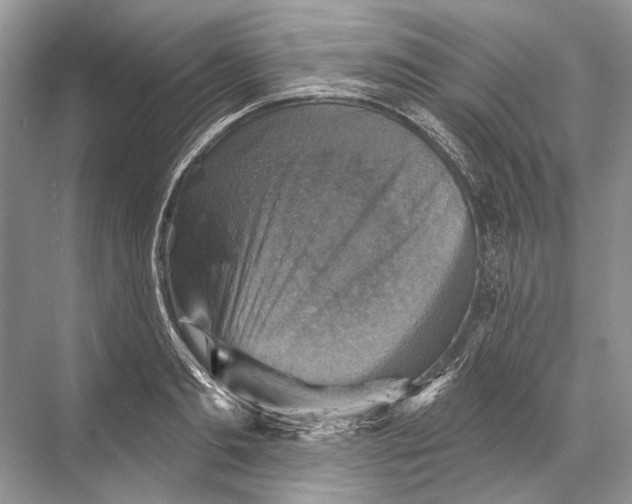 X0000067840893200605041646