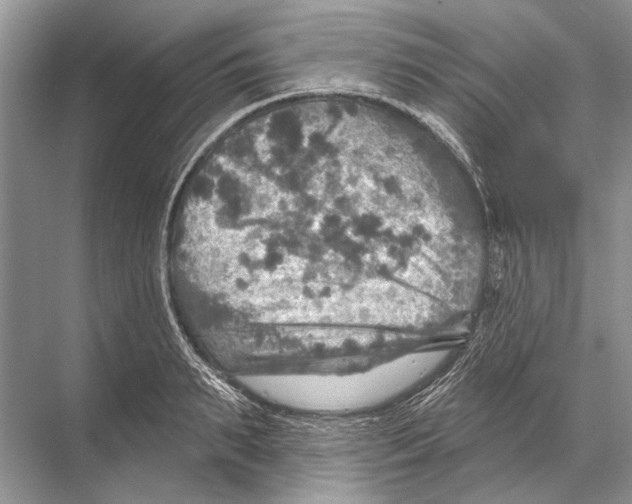 X0000067840895200605041646