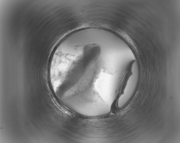 X0000067840896200605041646