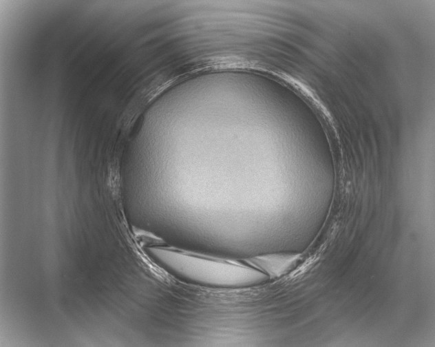 X0000067840897200605041646