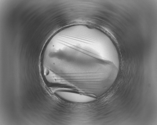 X0000067840899200605041646