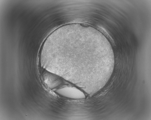 X0000067840900200605041646