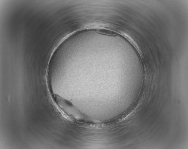 X0000067840901200605041646