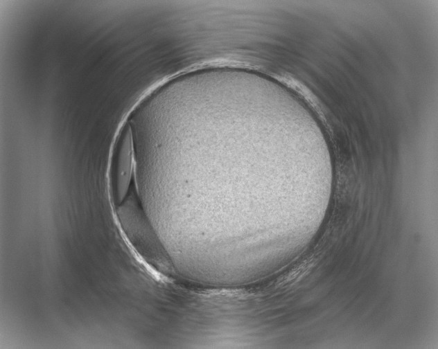 X0000067840902200605041646