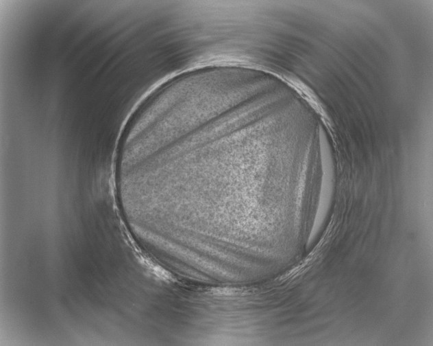 X0000067840904200605041646