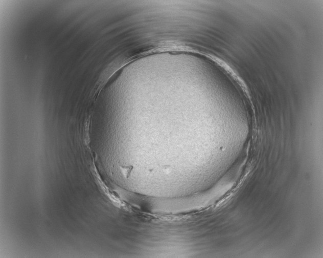 X0000067840905200605041646