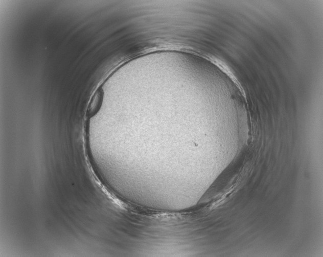 X0000067840906200605041646