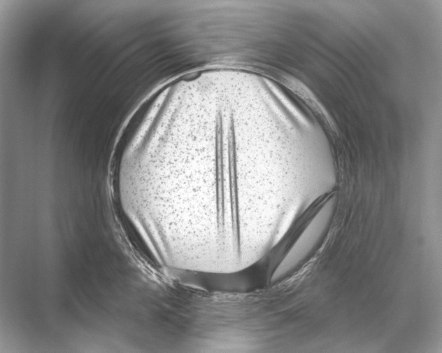 X0000067840908200605041646