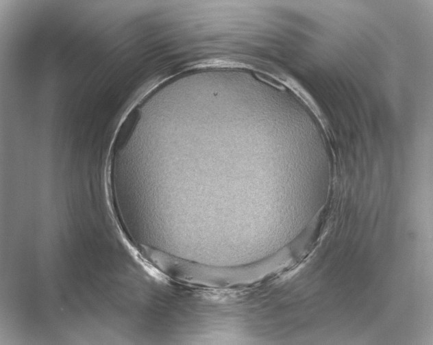 X0000067840909200605041646