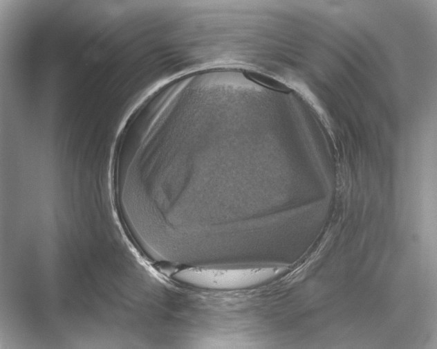 X0000067840910200605041646