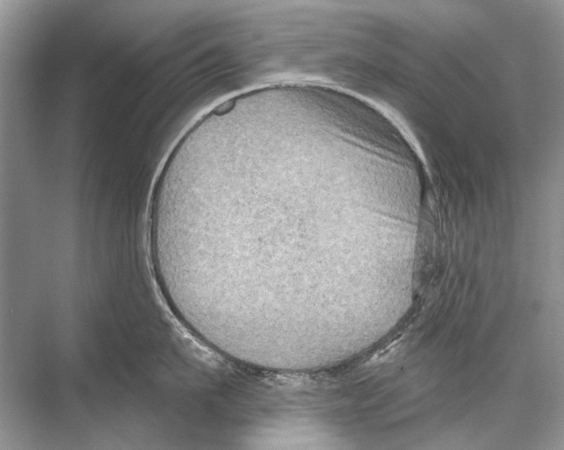 X0000067840911200605041646