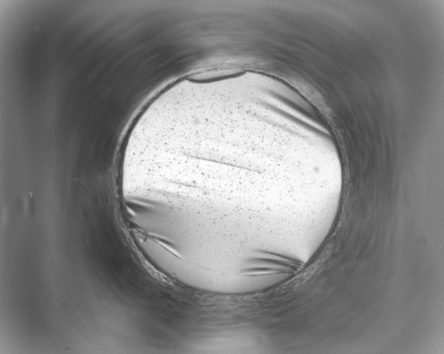 X0000067840912200605041646