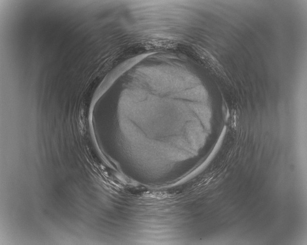 X0000067840915200605041645