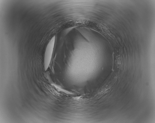 X0000067840916200605041645