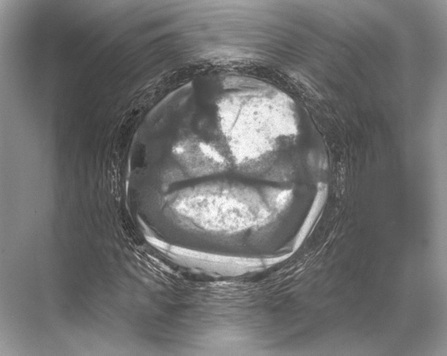 X0000067840917200605041645