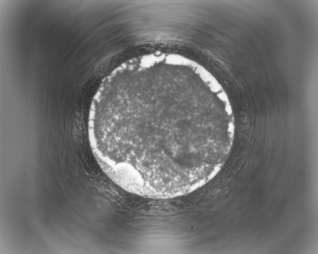 X0000067840918200605041645