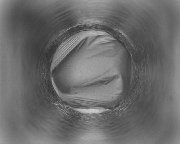 X0000067840919200605041645