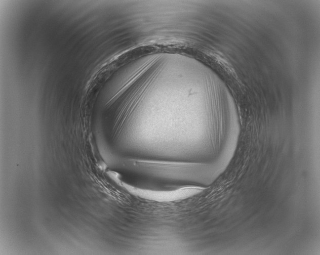 X0000067840920200605041645