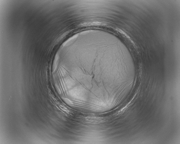 X0000067840921200605041645