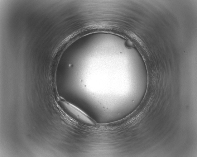 X0000067840922200605041645