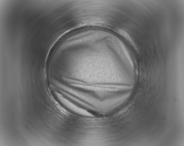 X0000067840924200605041645