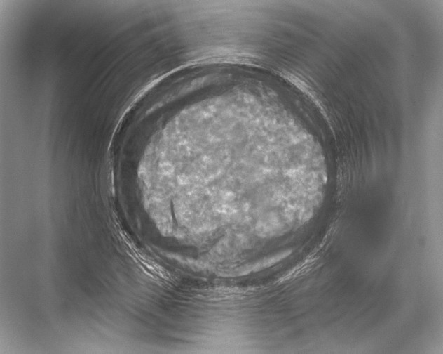 X0000067840925200605041645