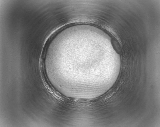 X0000067840928200605041645