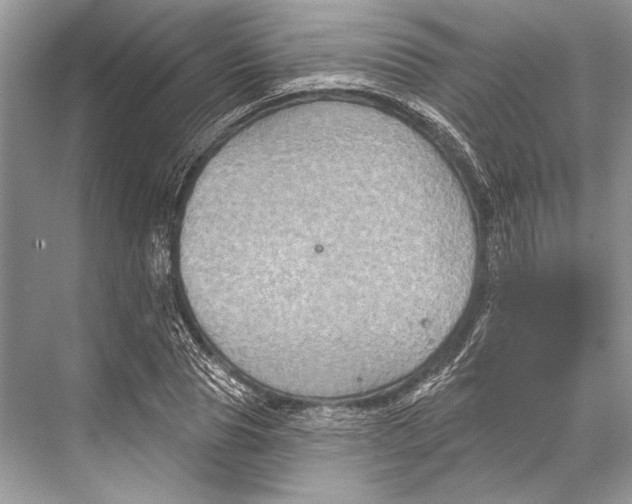 X0000067840929200605041645