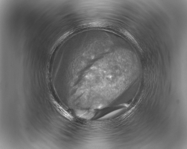 X0000067840930200605041645