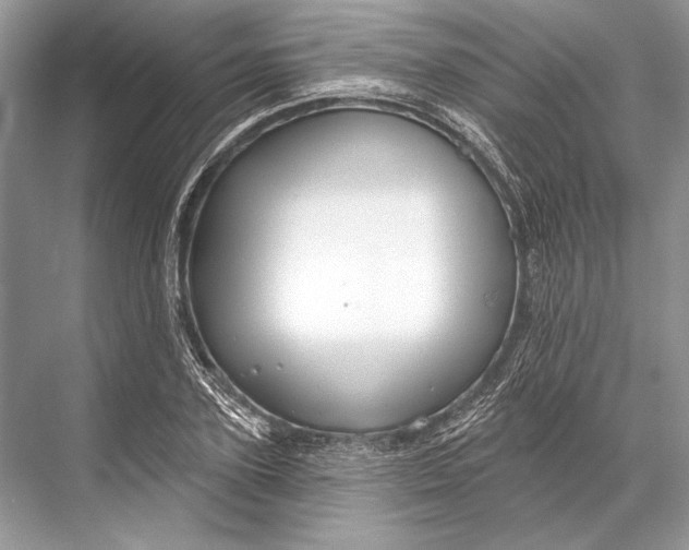 X0000067840931200605041645