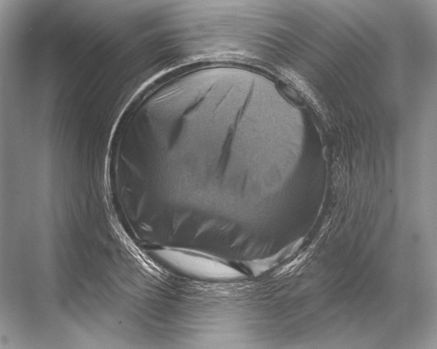 X0000067840932200605041645