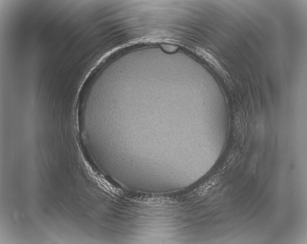 X0000067840934200605041645