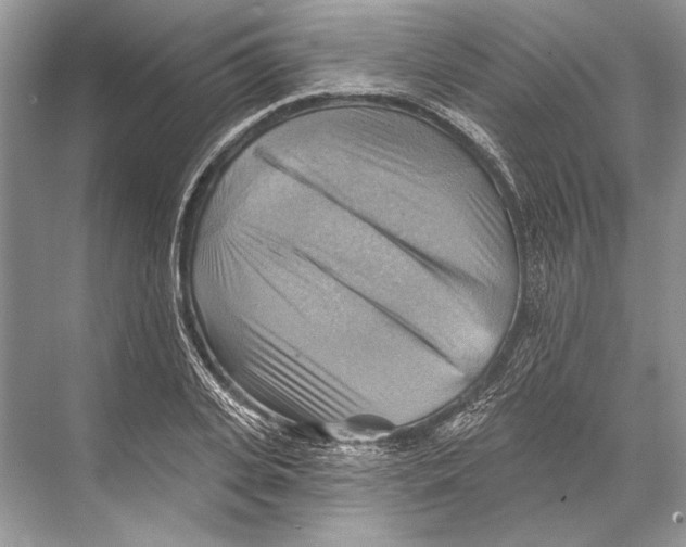 X0000067840935200605041645