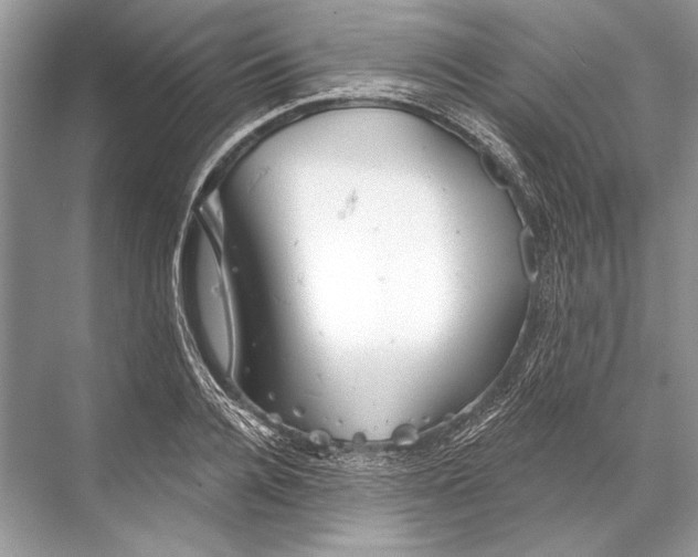 X0000067840936200605041645