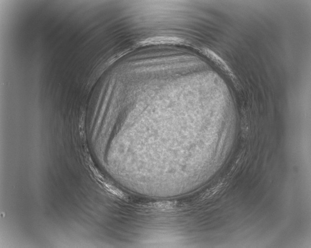 X0000067840937200605041645